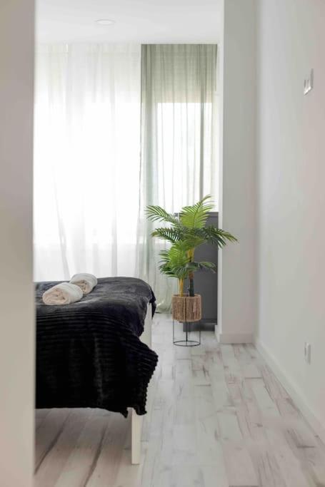 Lovely 3-Bedroom Condo W/ Free Parking On Premises 克卢什 外观 照片